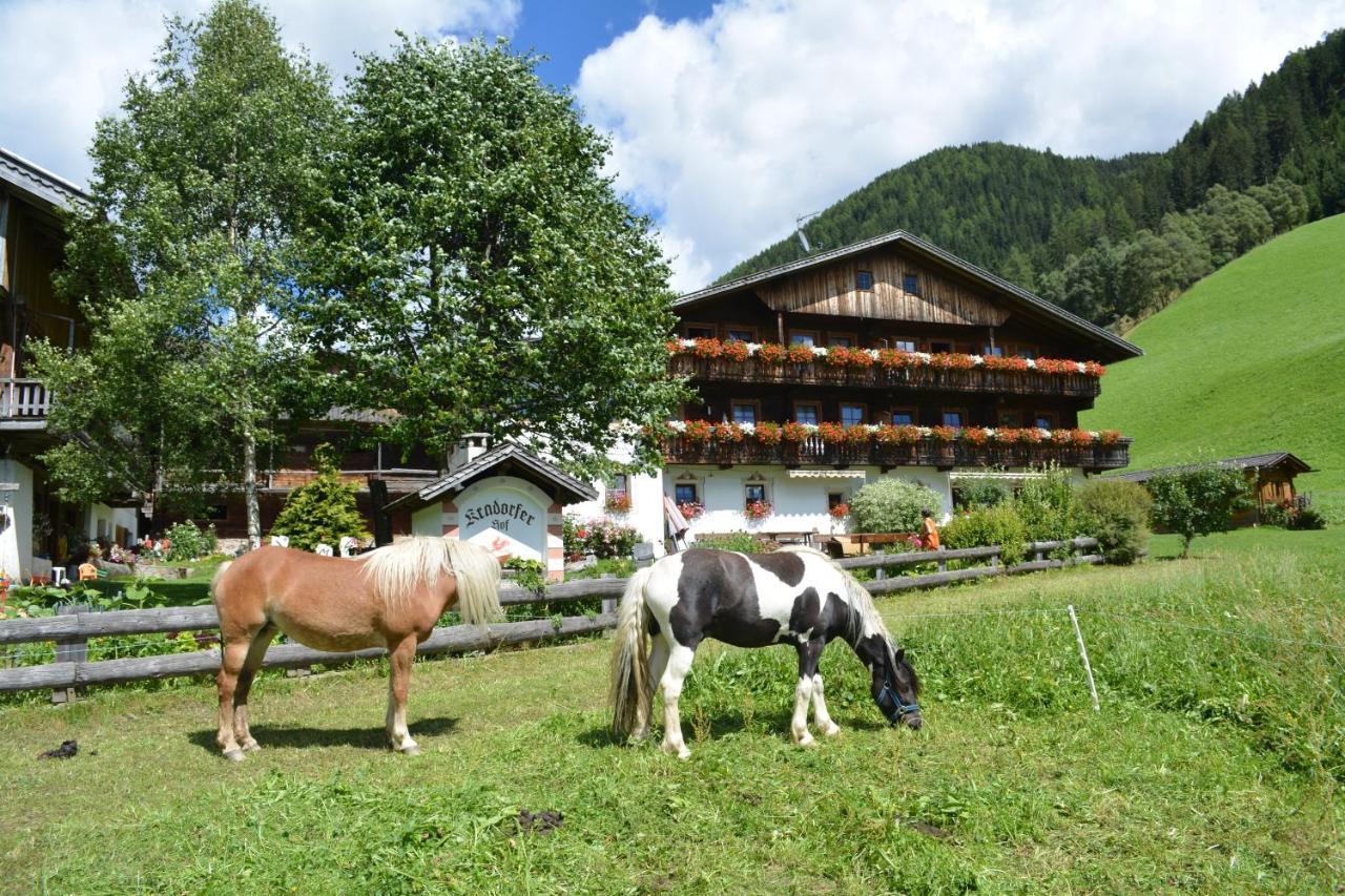 Appartement Kradorferhof à Santa Maddalena in Casies Extérieur photo